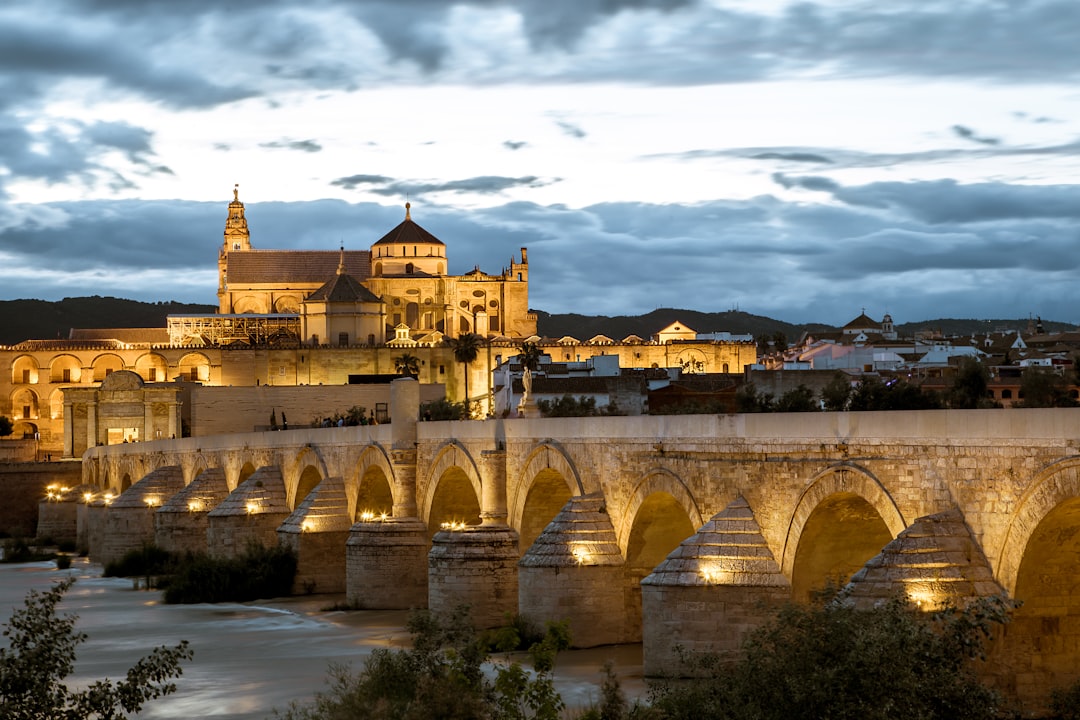 Creación de Chatbots AI a Medida en Córdoba para Empresas à Córdoba