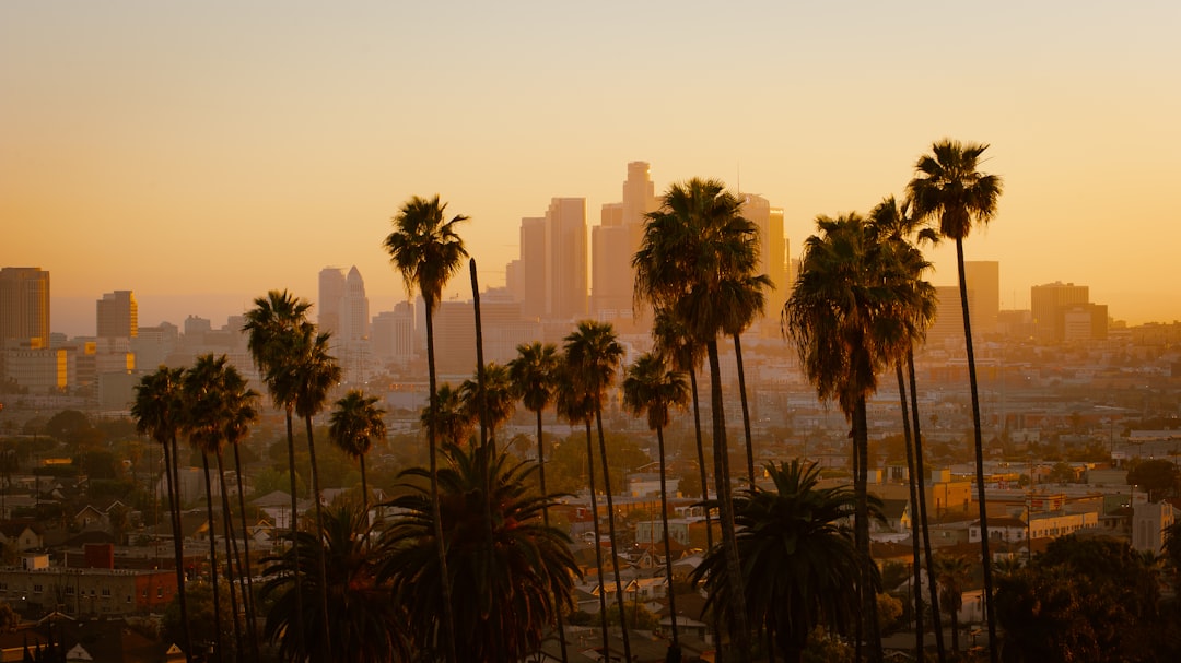 Custom AI Chatbot Creation & Development in Los Angeles à Los Angeles